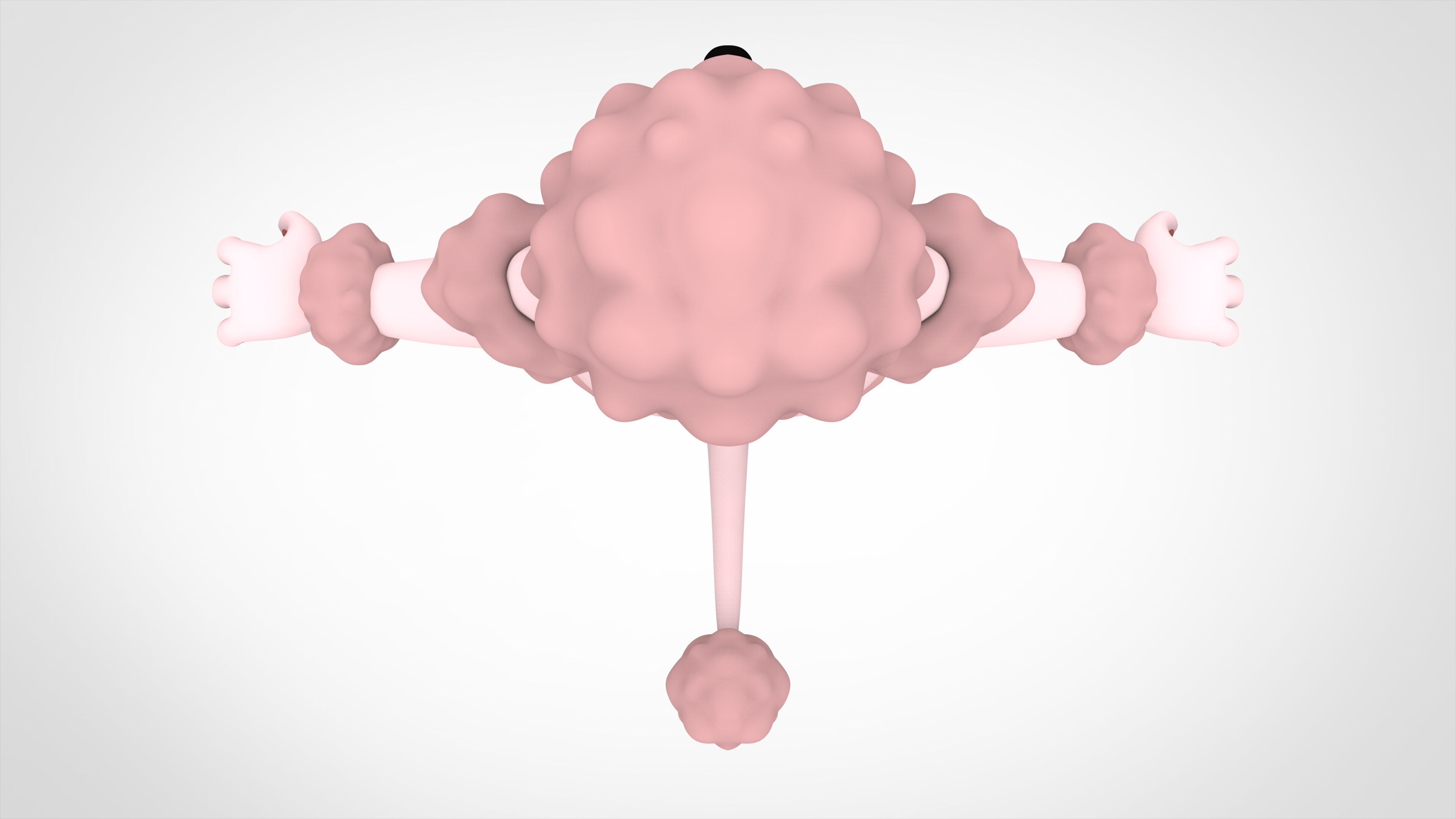 Poodle 3D model_4