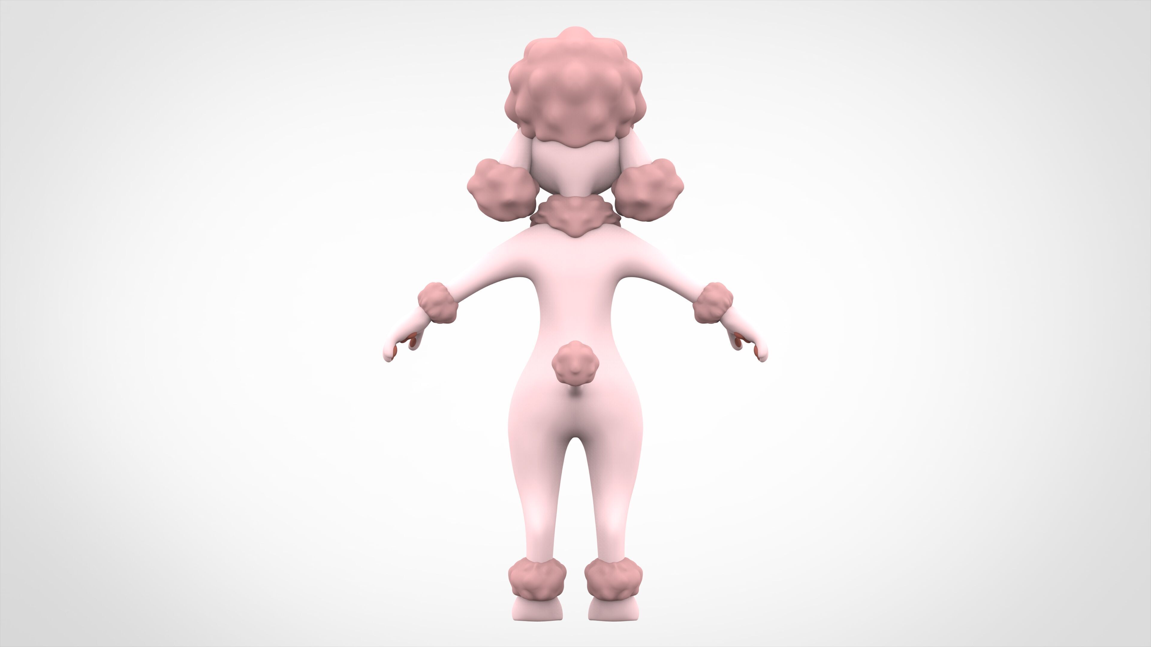 Poodle 3D model_3