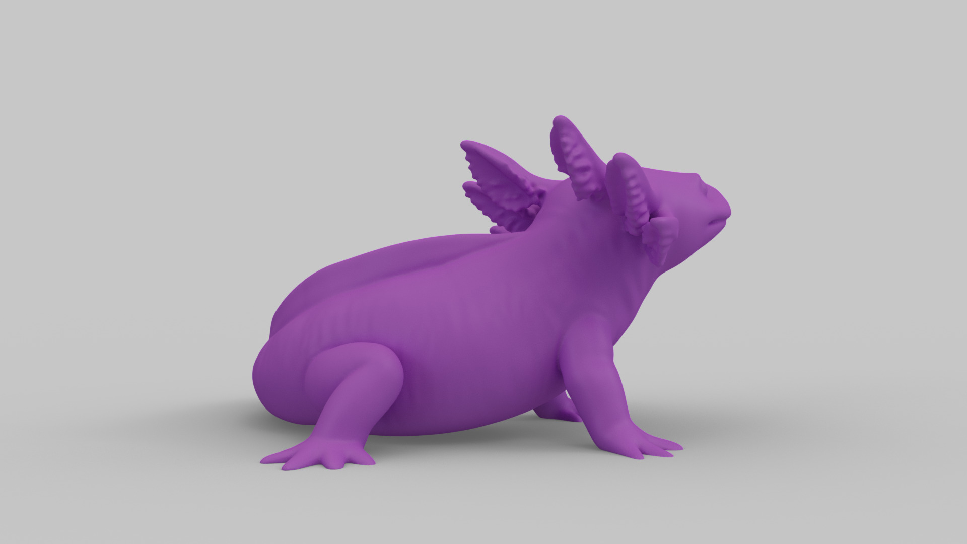 Axolotl Figurine 3D print model_2
