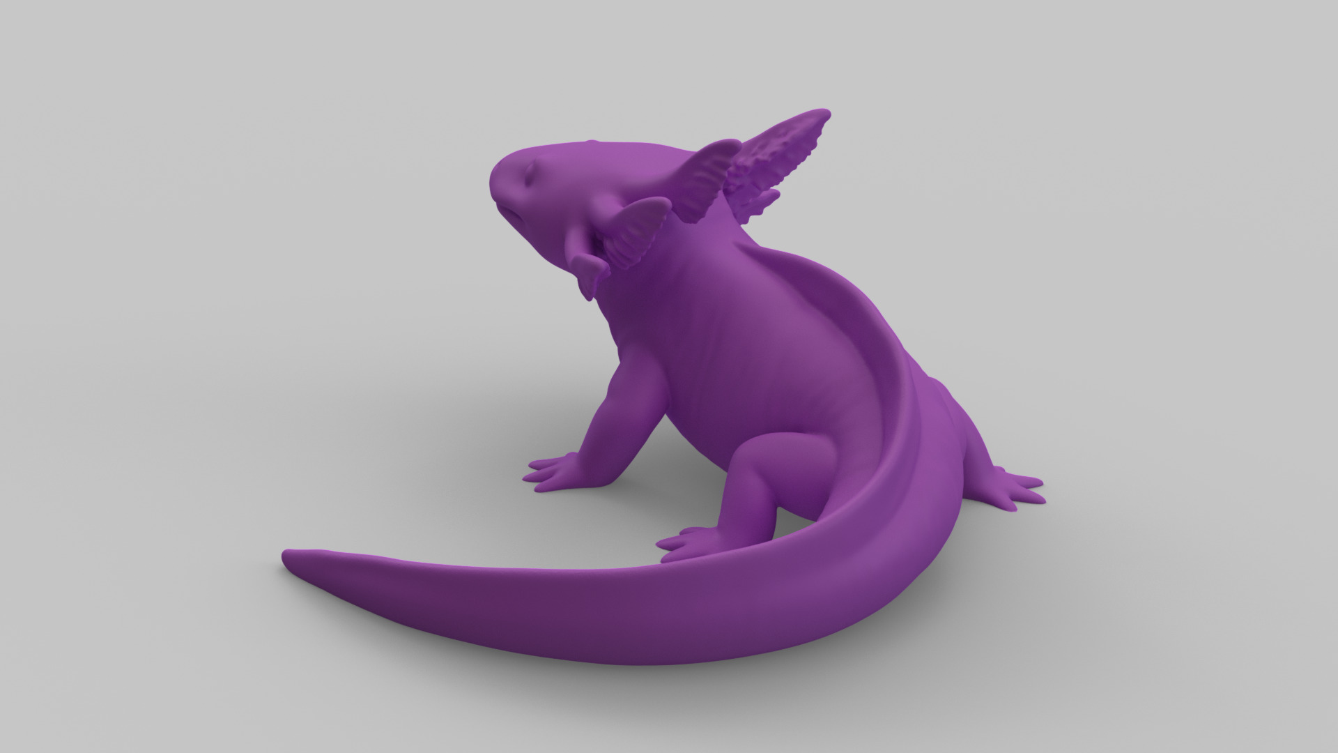 Axolotl Figurine 3D print model_5