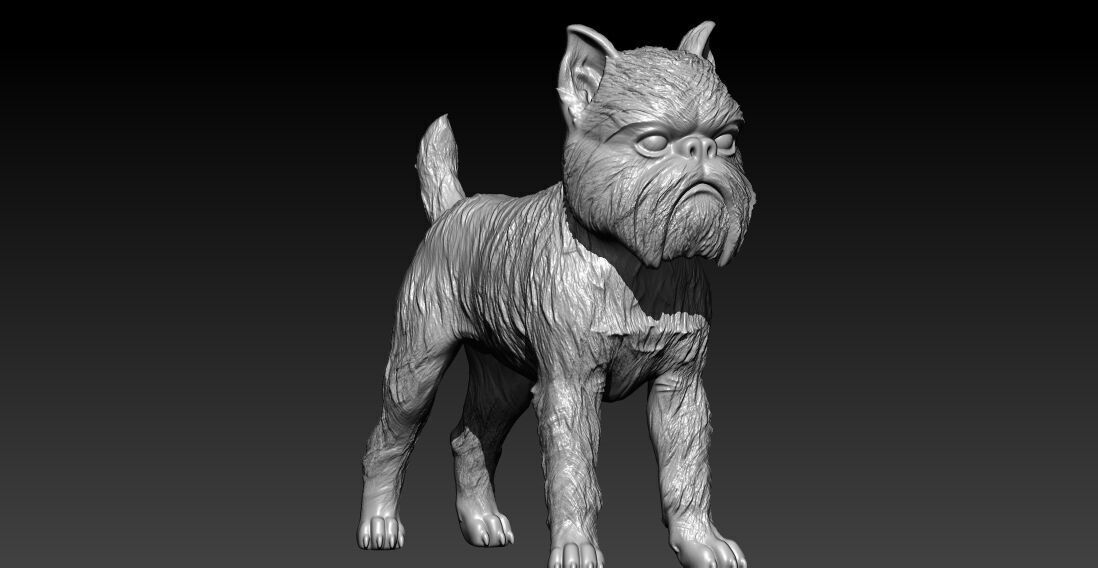 Griffon Bruxellois Dog model - 3D print 3D print model_2