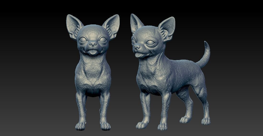 Chihuahua Dog model - 3D print 3D print model_2
