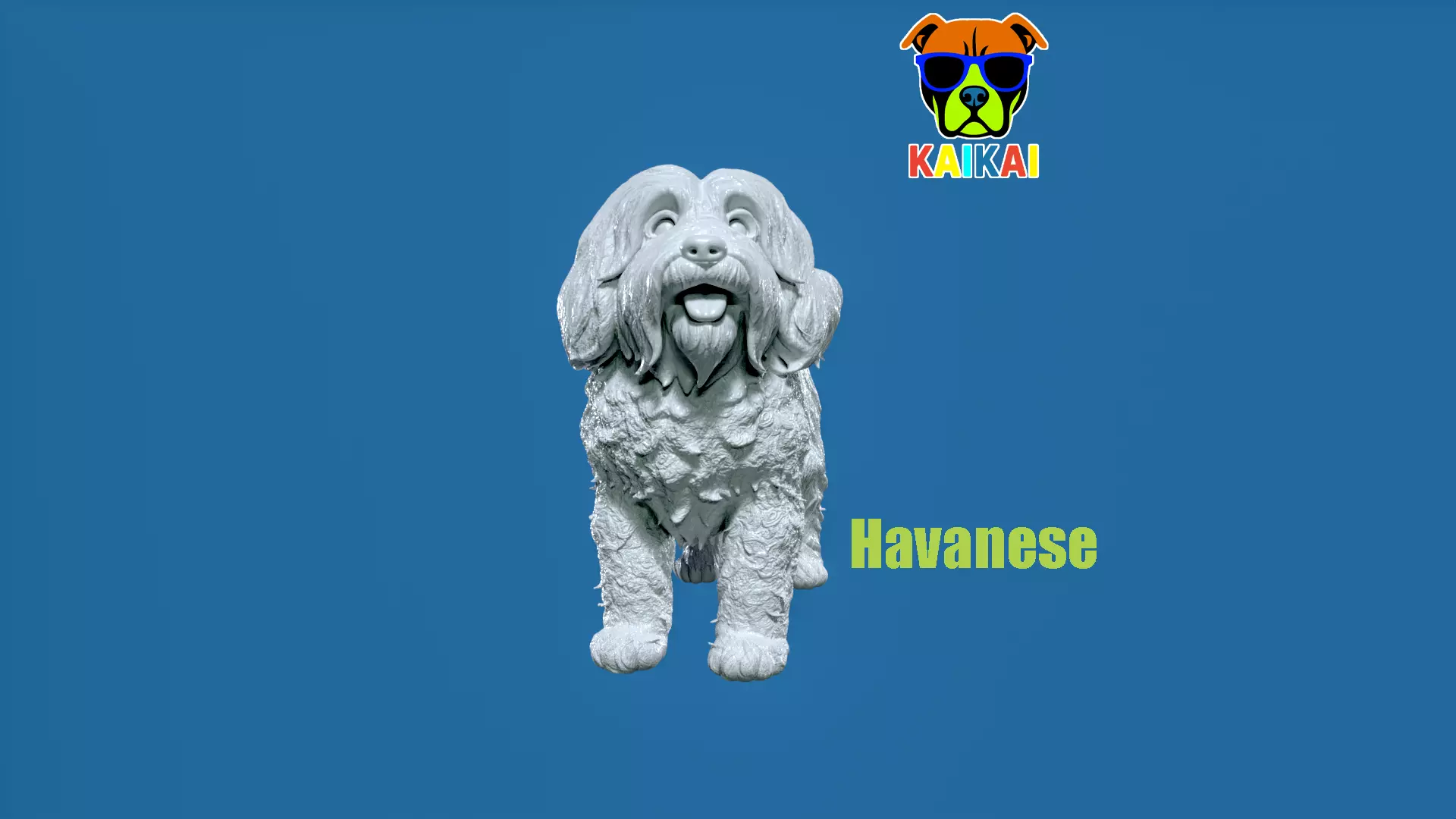 Havanese Cuban Bichon Dog model - 3D print 3D print model