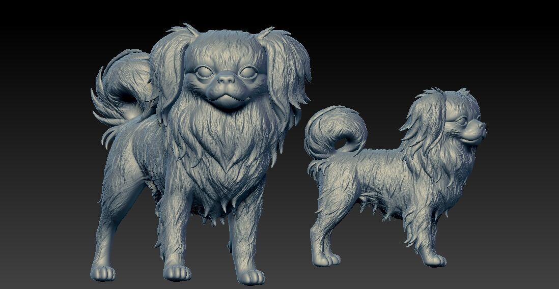 Japanese Chin Dog - Japanese Spaniel Dog - 3D print 3D print model_2