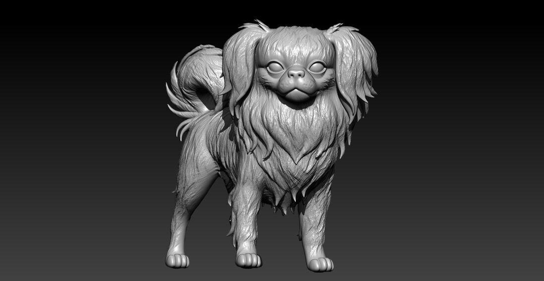 Japanese Chin Dog - Japanese Spaniel Dog - 3D print 3D print model_1