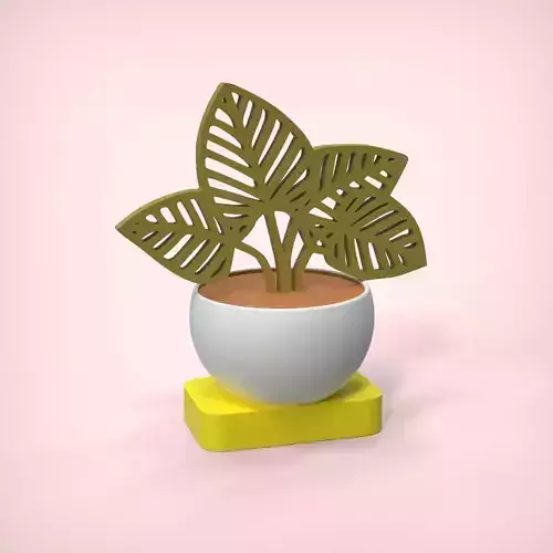 Decorative Plant