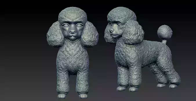 Toy Poodle Dog - Poodle Dog - 3D print 3D print model Toy Poodle Dog - Poodle Dog - 3D print 3D print model