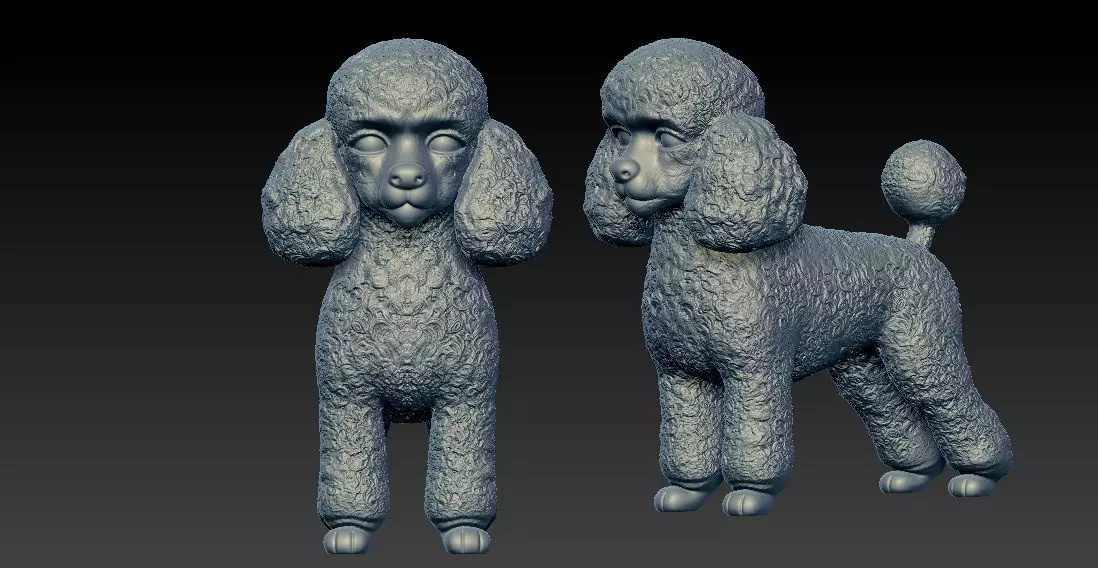 Toy Poodle Dog - Poodle Dog - 3D print 3D print model_0