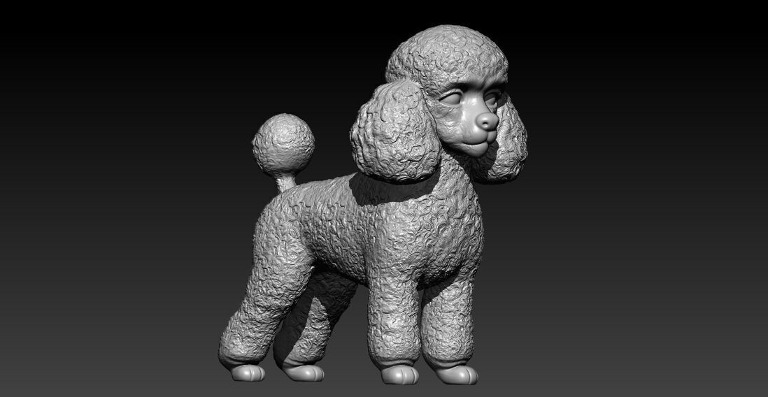 Toy Poodle Dog - Poodle Dog - 3D print 3D print model_1