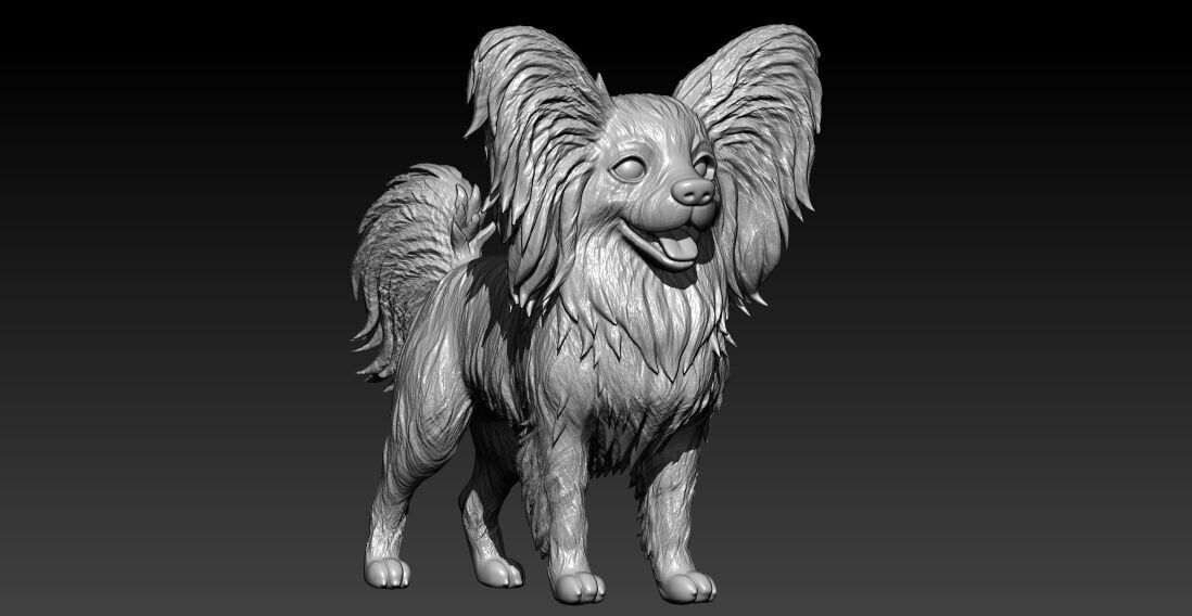 Papillon dog - Squirrel dog - 3D print 3D print model_1