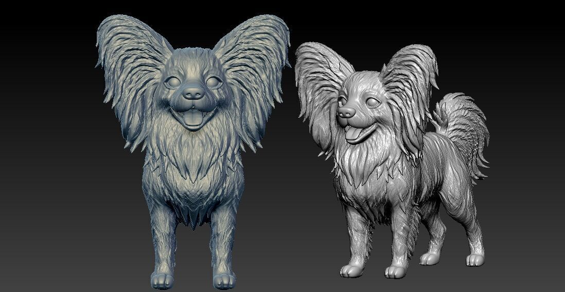 Papillon dog - Squirrel dog - 3D print 3D print model_2