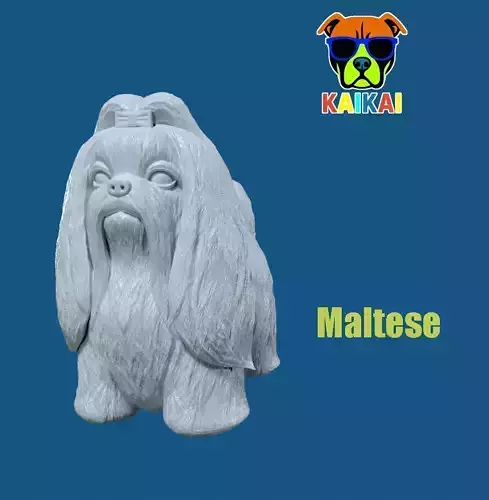 Maltese dog model - 3D print 3D print model Maltese dog model - 3D print 3D print model