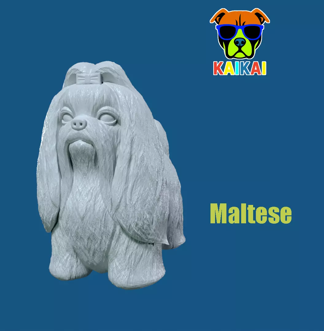 Maltese dog model - 3D print 3D print model_0