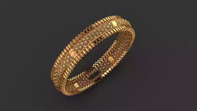 Golden Echoes Bangle 11gm