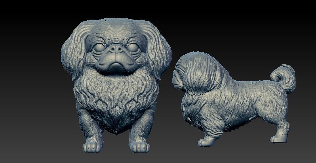 Pekingese Dog Beijing - 3D print 3D print model_2