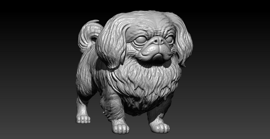Pekingese Dog Beijing - 3D print 3D print model_1
