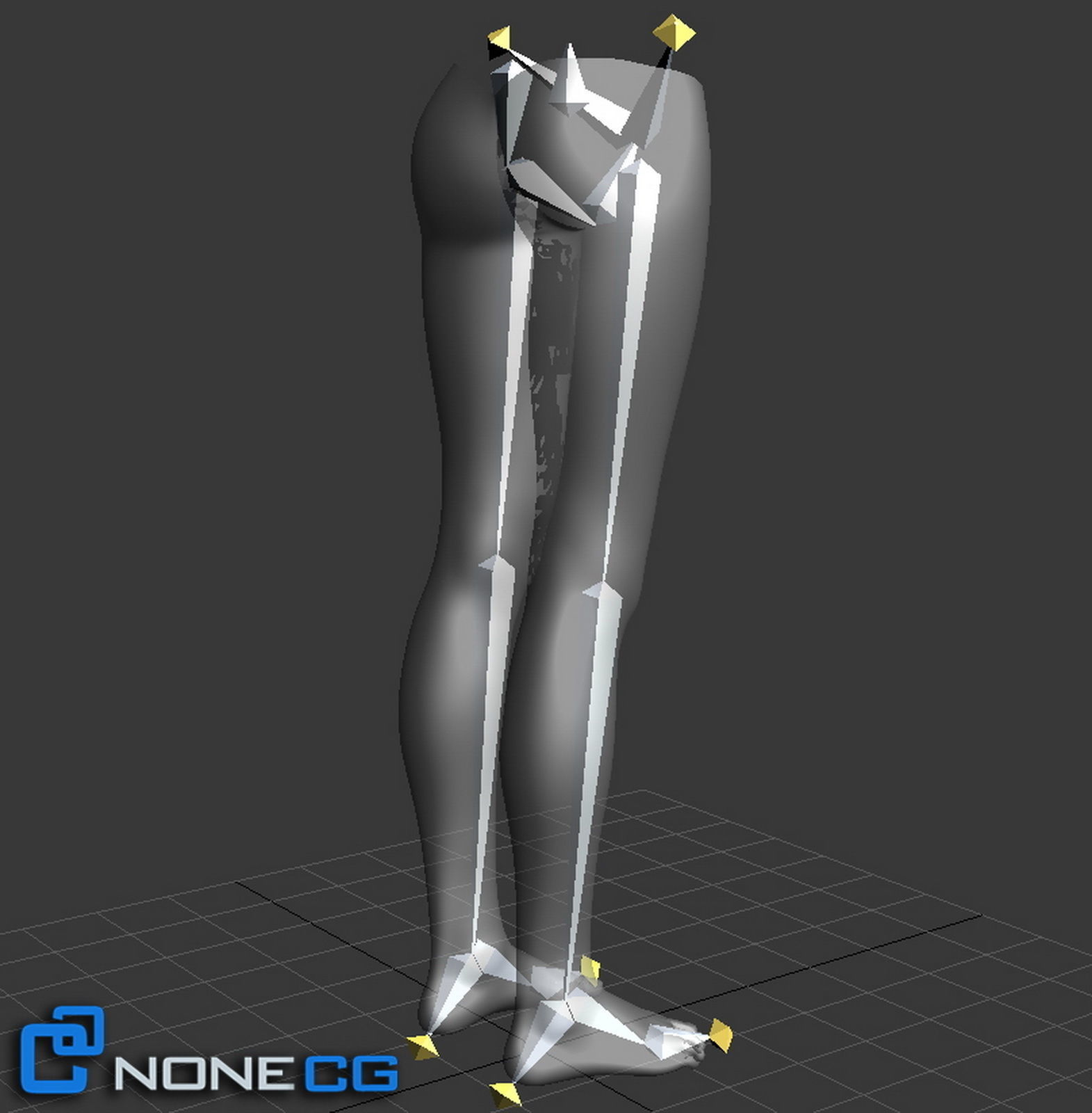 Adult Female Legs and Feet 3D model_12