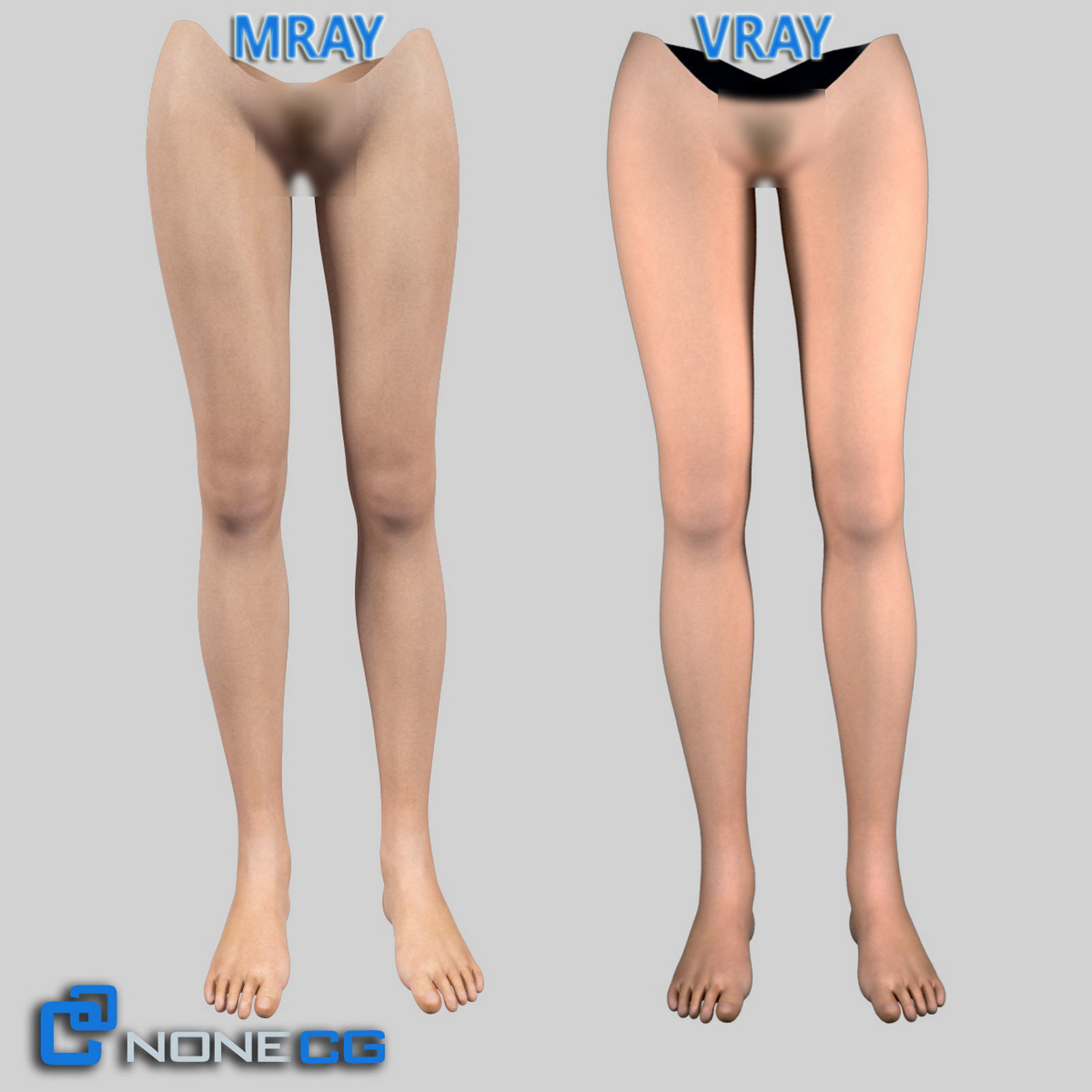 Adult Female Legs and Feet 3D model_1
