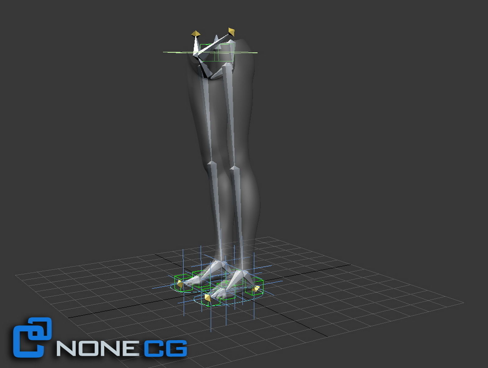 Adult Female Legs and Feet 3D model_11