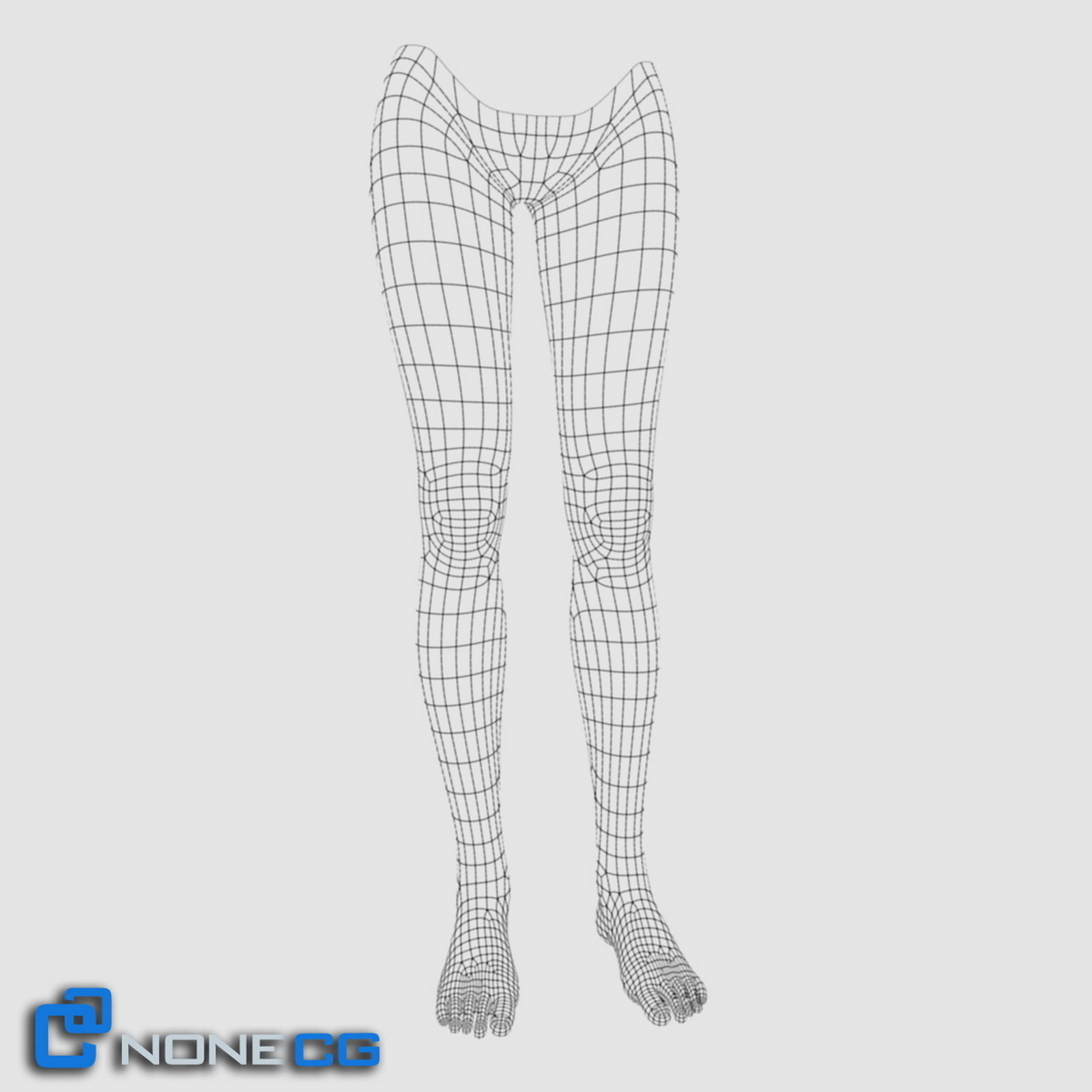 Adult Female Legs and Feet 3D model_10