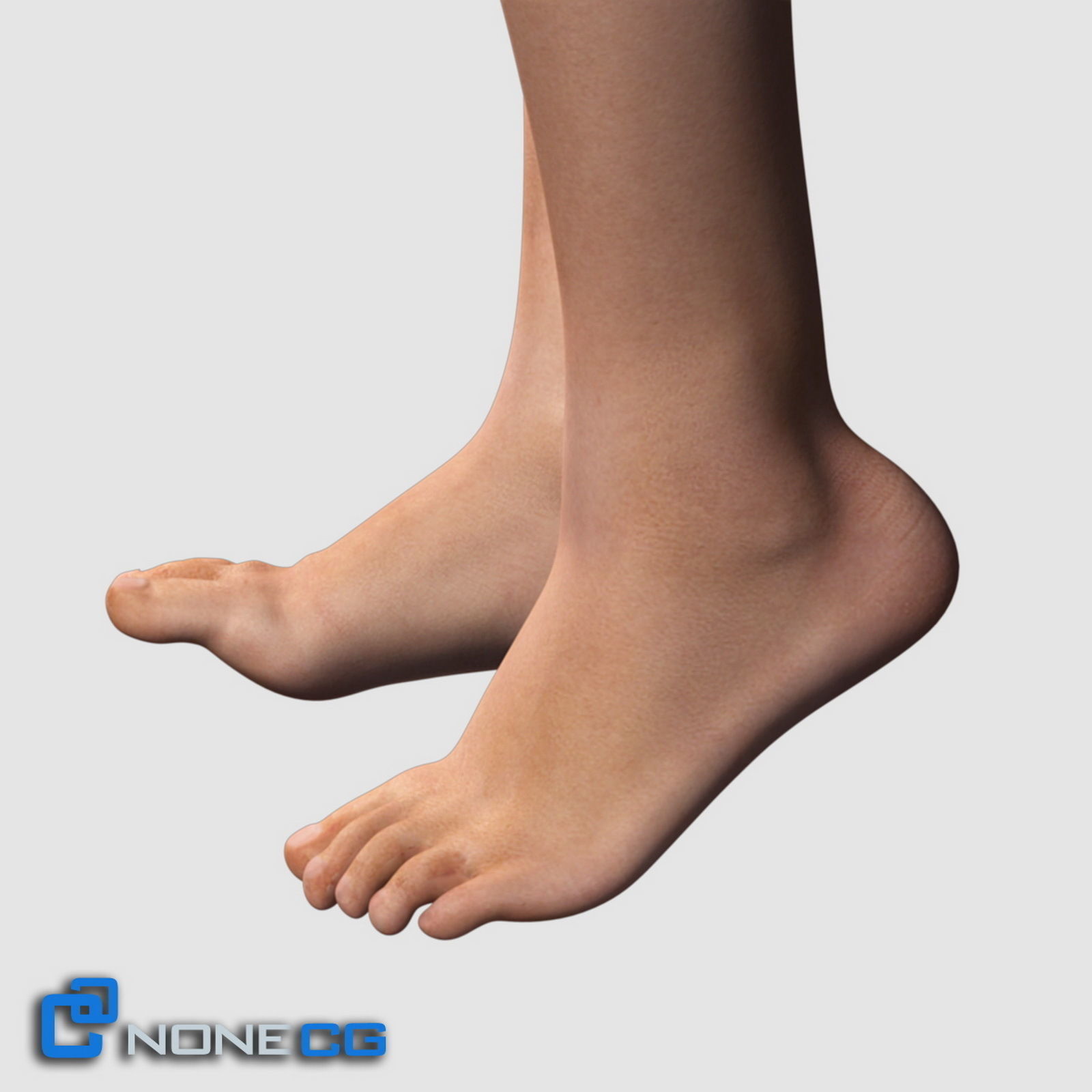 Adult Female Legs and Feet 3D model_6