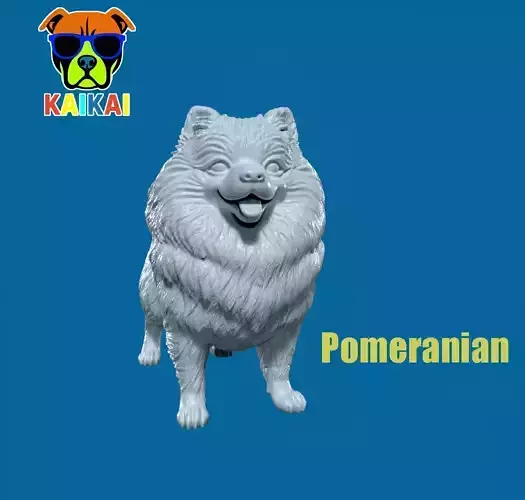 Pomeranian dog - German Toy Spitz Dog - 3D print