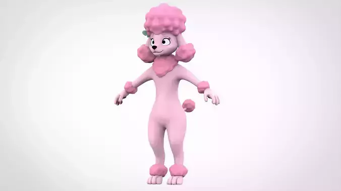 Poodle Coco