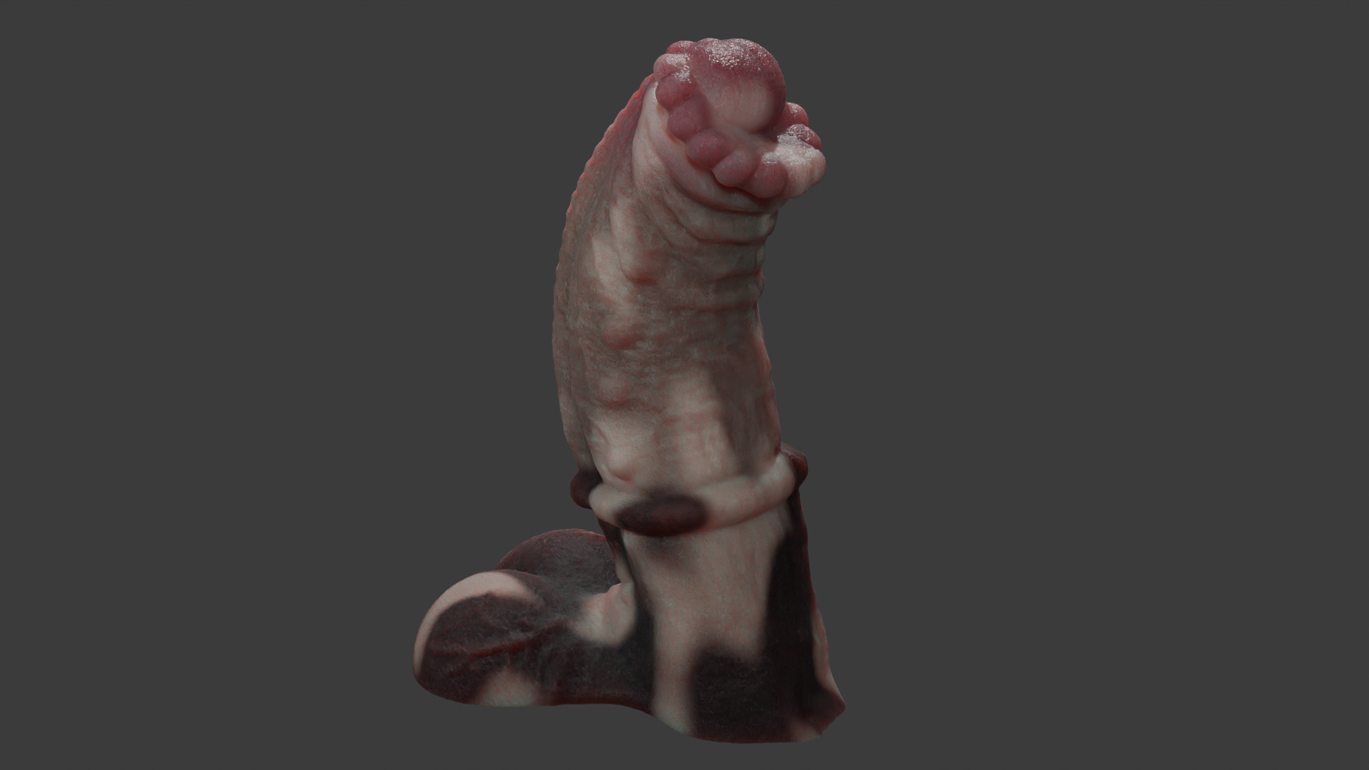 Minotaur Penis Rigged Lowpoly and Highpoly Low-poly 3D model_3