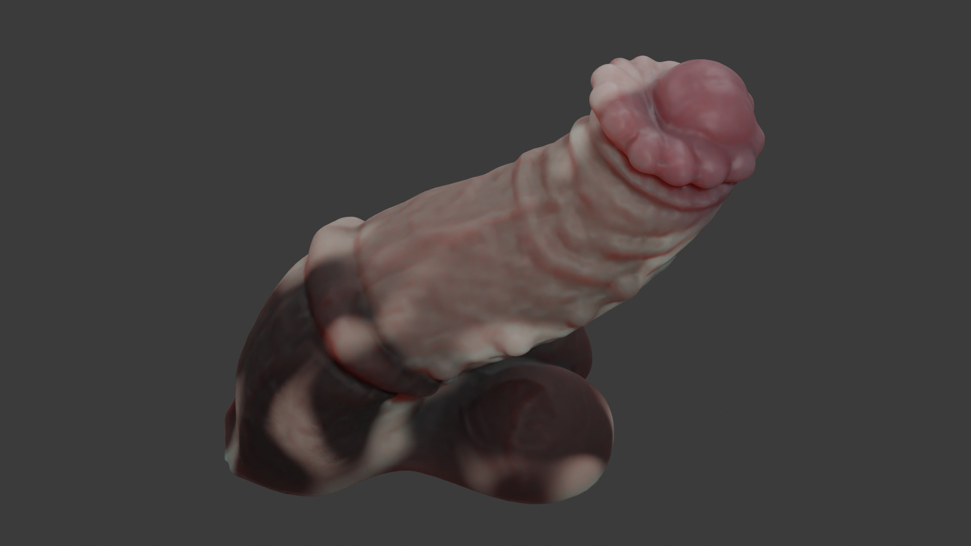 Minotaur Penis Rigged Lowpoly and Highpoly Low-poly 3D model_7
