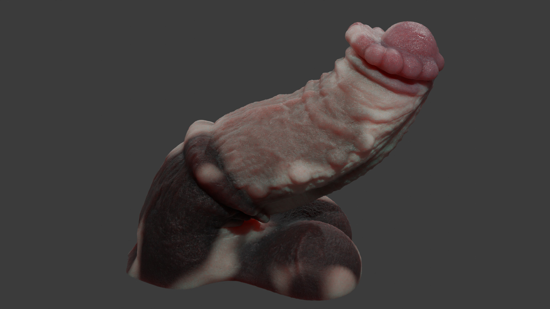 Minotaur Penis Rigged Lowpoly and Highpoly Low-poly 3D model_5