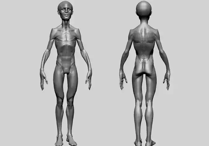 Creature Body Form H Free 3D model