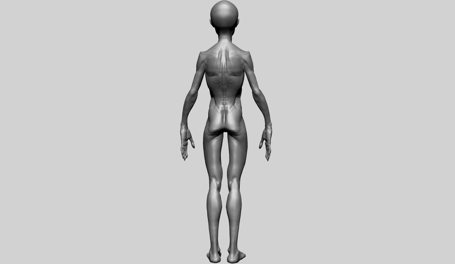 Creature Body Form H free 3D model | CGTrader
