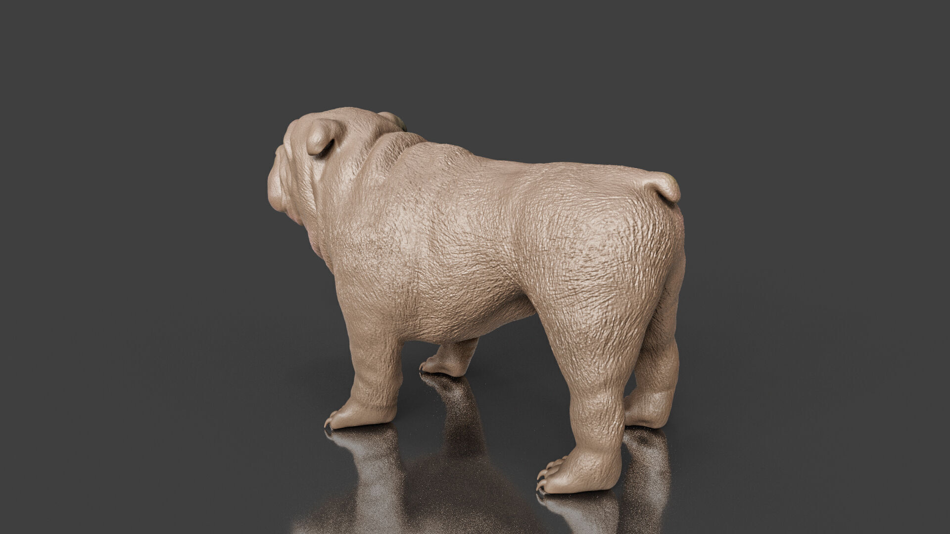 Your First Bulldog 3D Printable Realistic Toy 3D print model_5