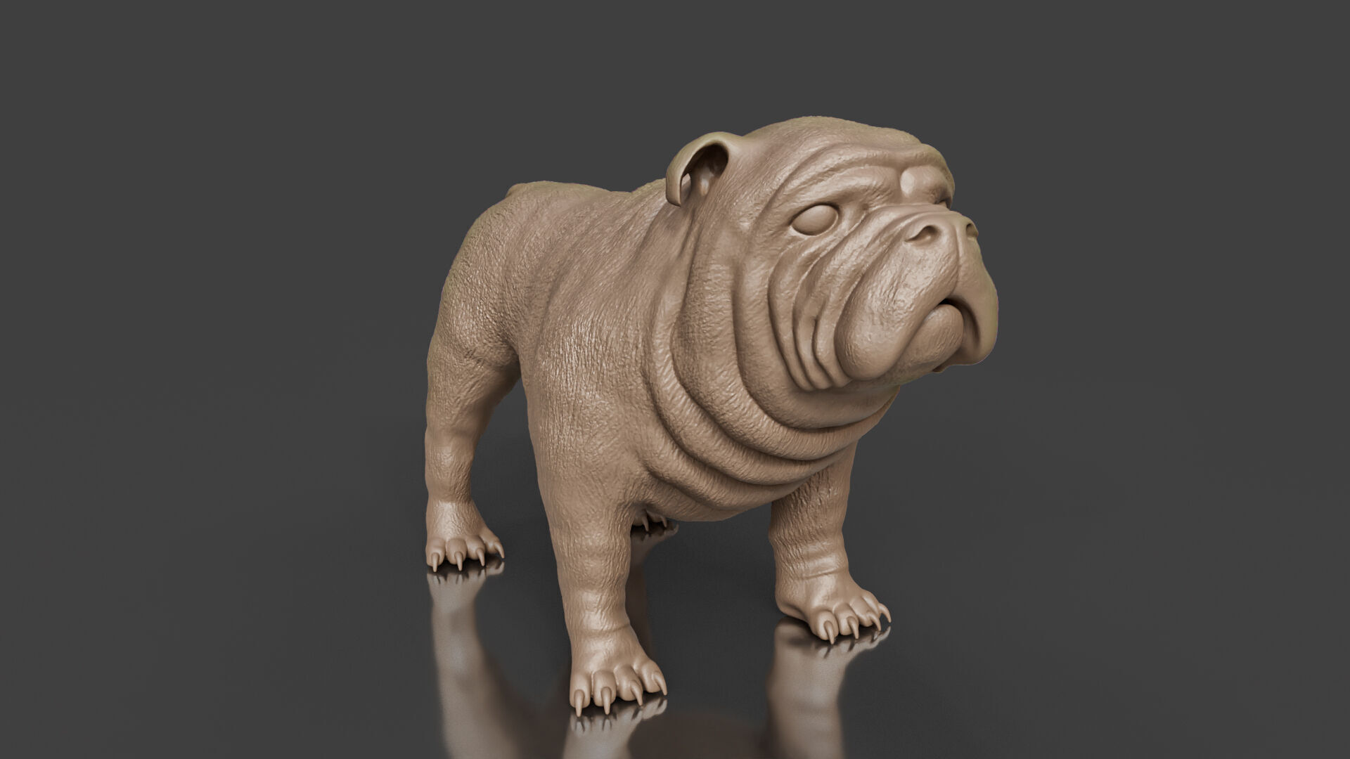 Your First Bulldog 3D Printable Realistic Toy 3D print model_2