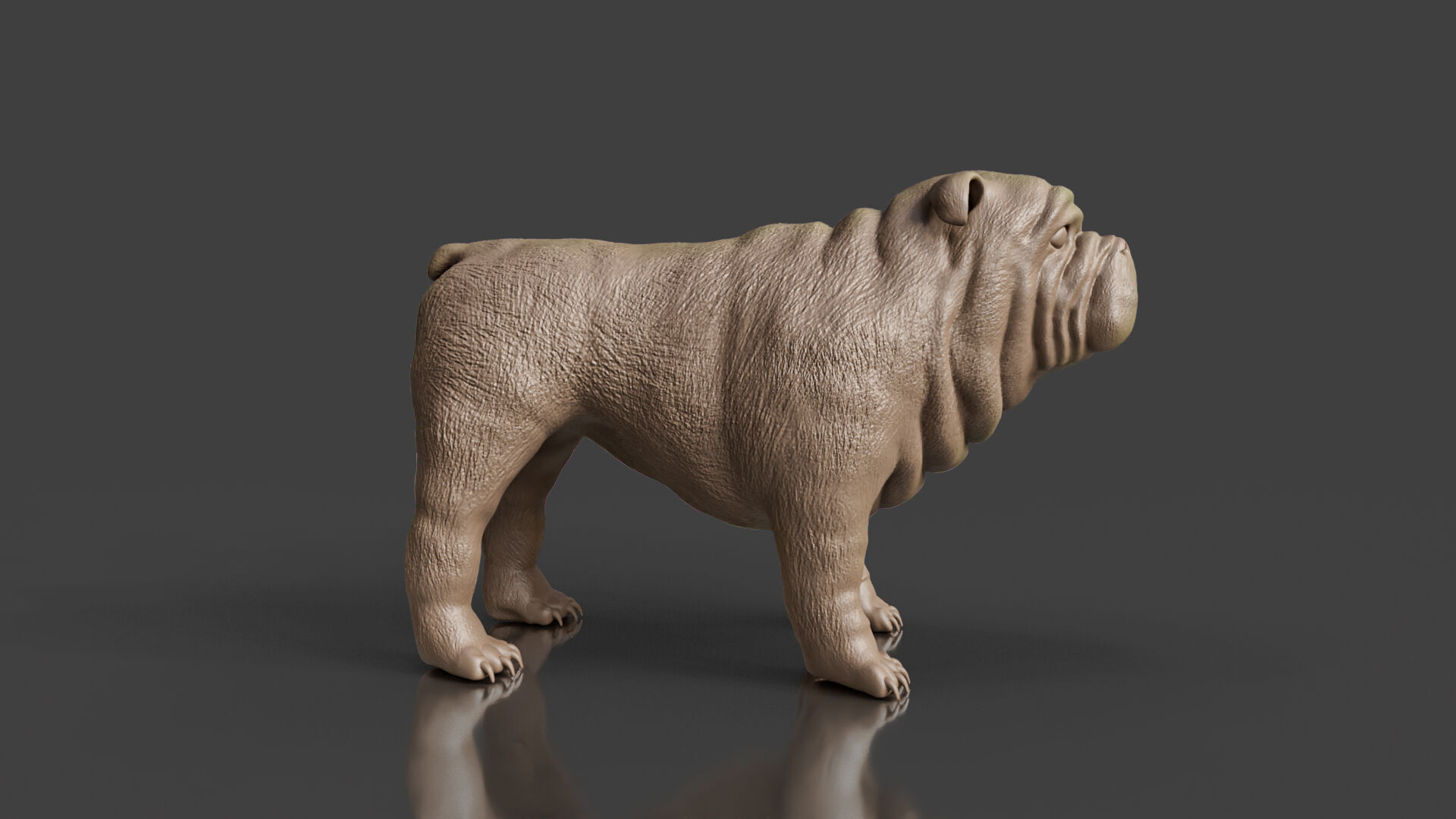Your First Bulldog 3D Printable Realistic Toy 3D print model_3