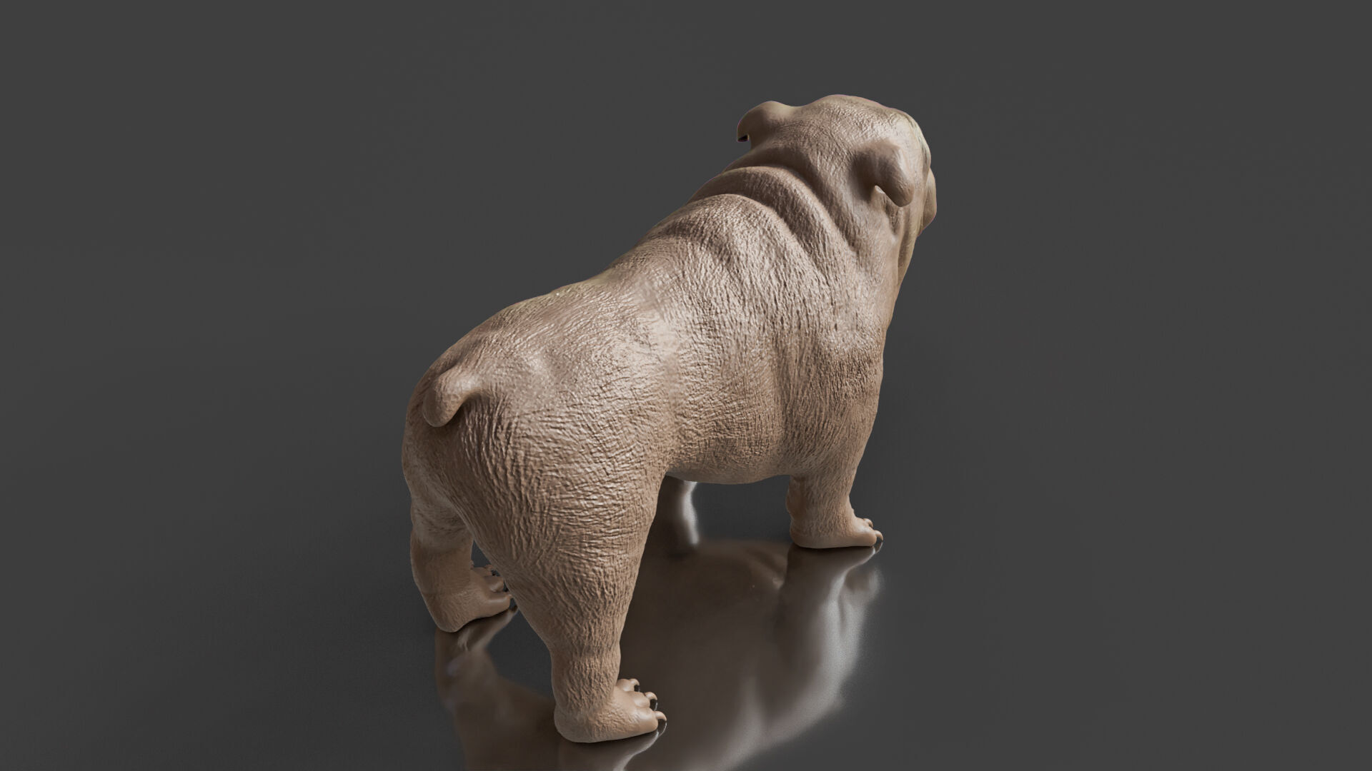 Your First Bulldog 3D Printable Realistic Toy 3D print model_4