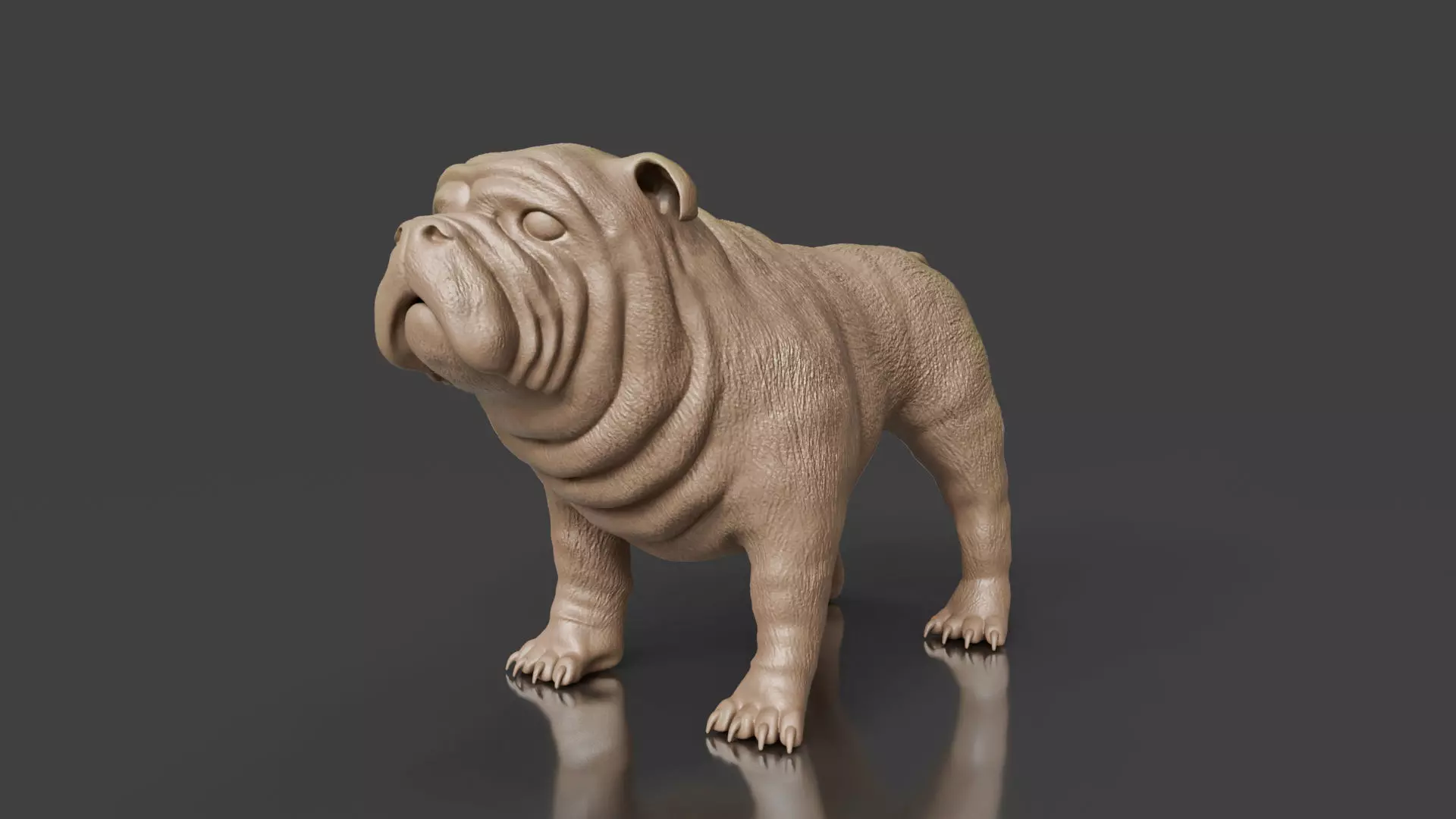 Your First Bulldog 3D Printable Realistic Toy 3D print model_0