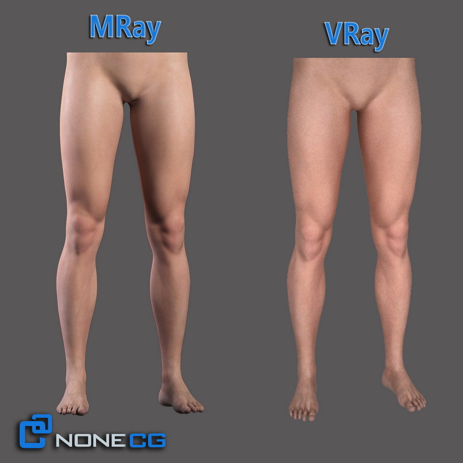 Adult Male Legs and Feet 3D model_2