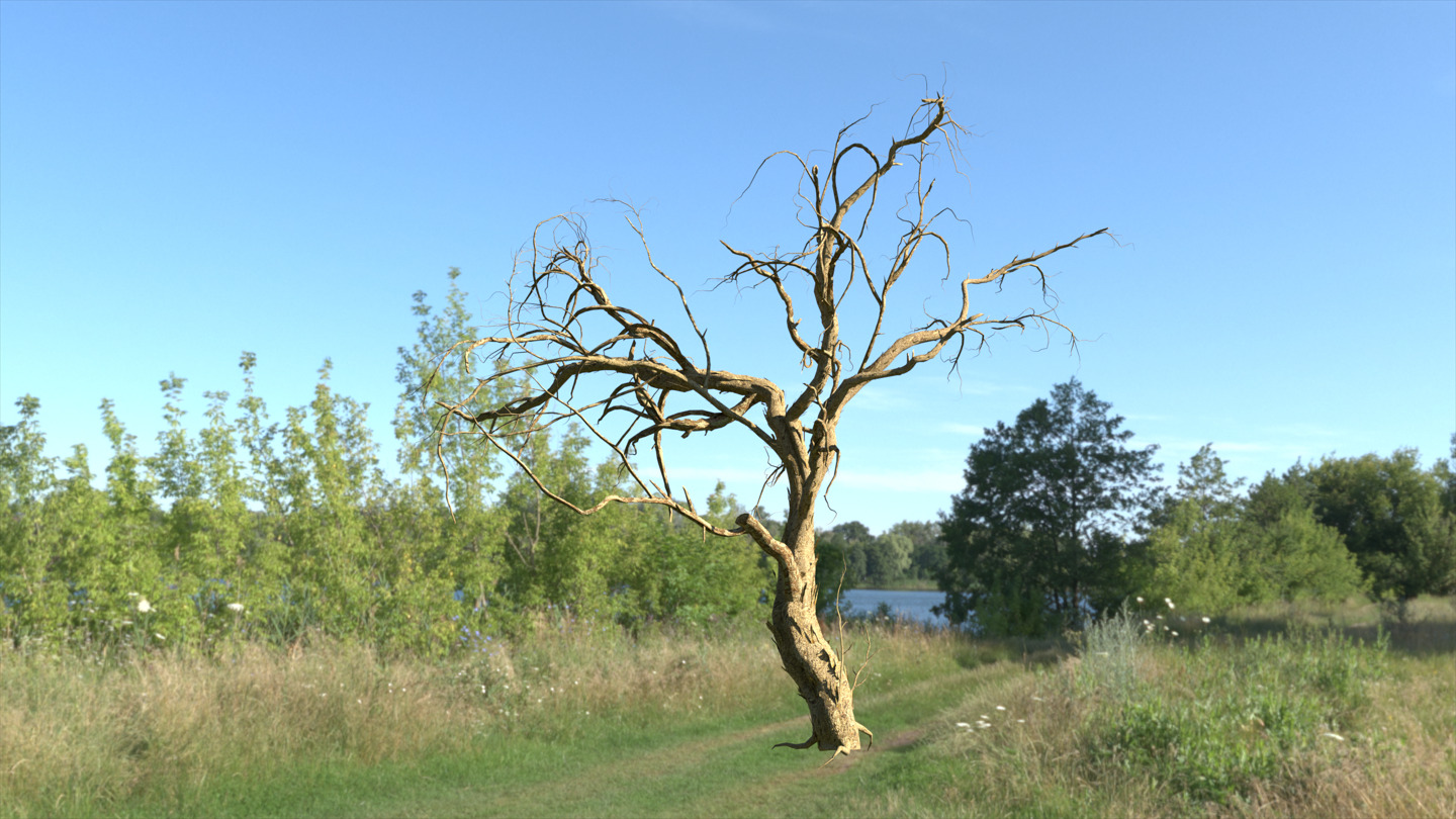 Lowpoly Dead Tree 02 3D model_1
