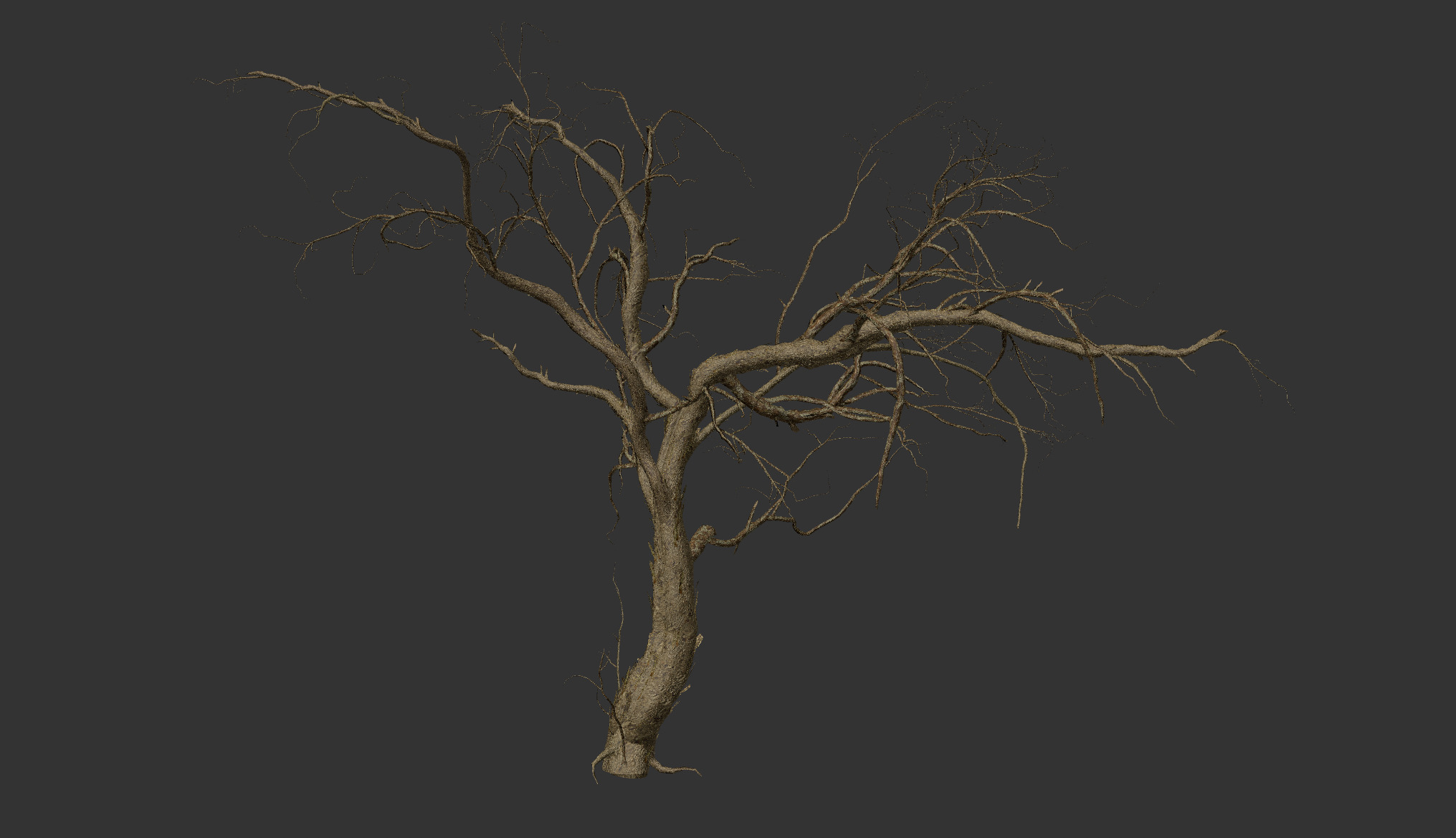 Lowpoly Dead Tree 02 3D model_2