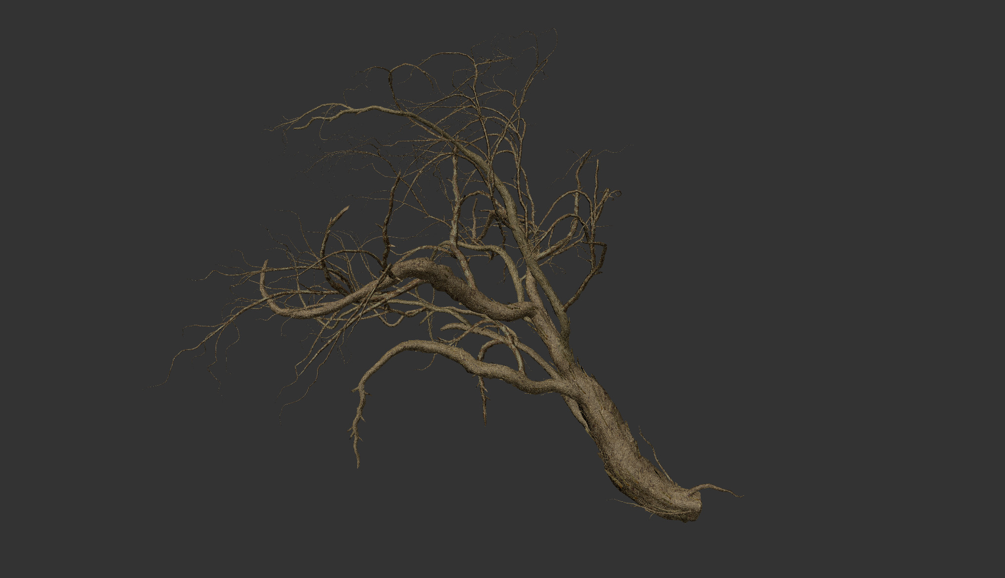 Lowpoly Dead Tree 03 3D model_2