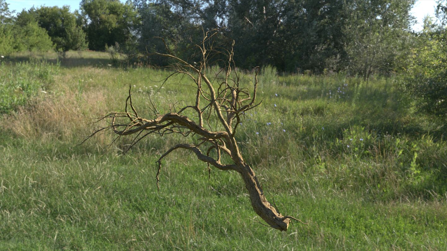 Lowpoly Dead Tree 03 3D model_1