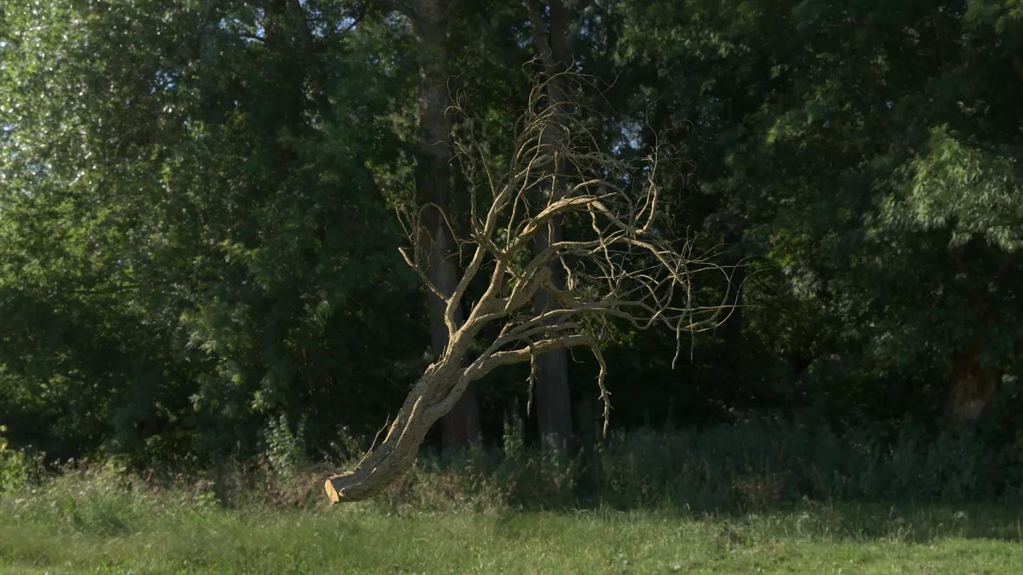 Lowpoly Dead Tree 03 3D model_0