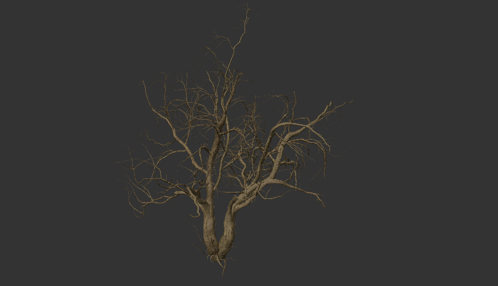 Lowpoly Dead Tree 04 3D model_2