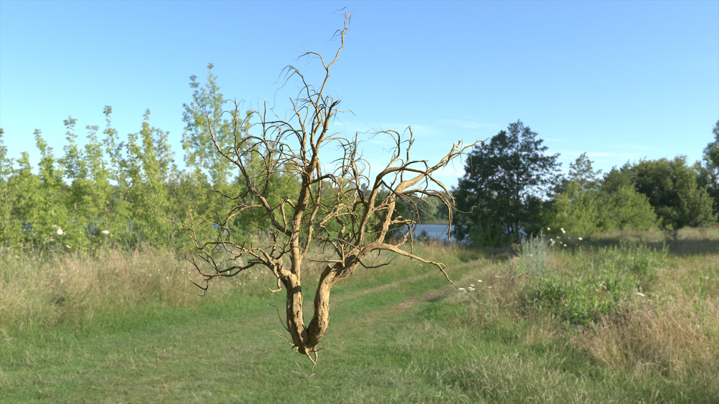 Lowpoly Dead Tree 04 3D model_1