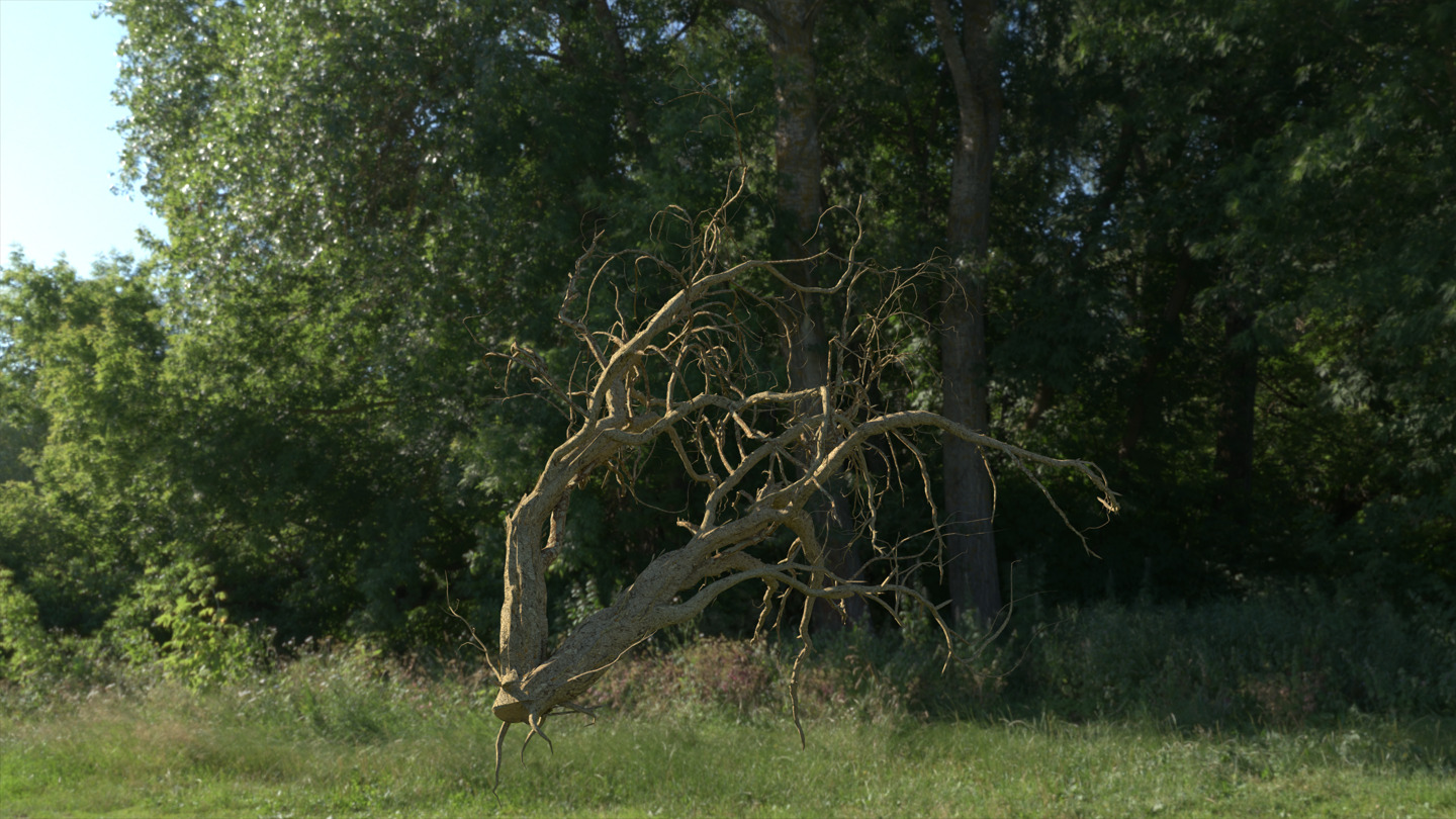 Lowpoly Dead Tree 05 3D model_1