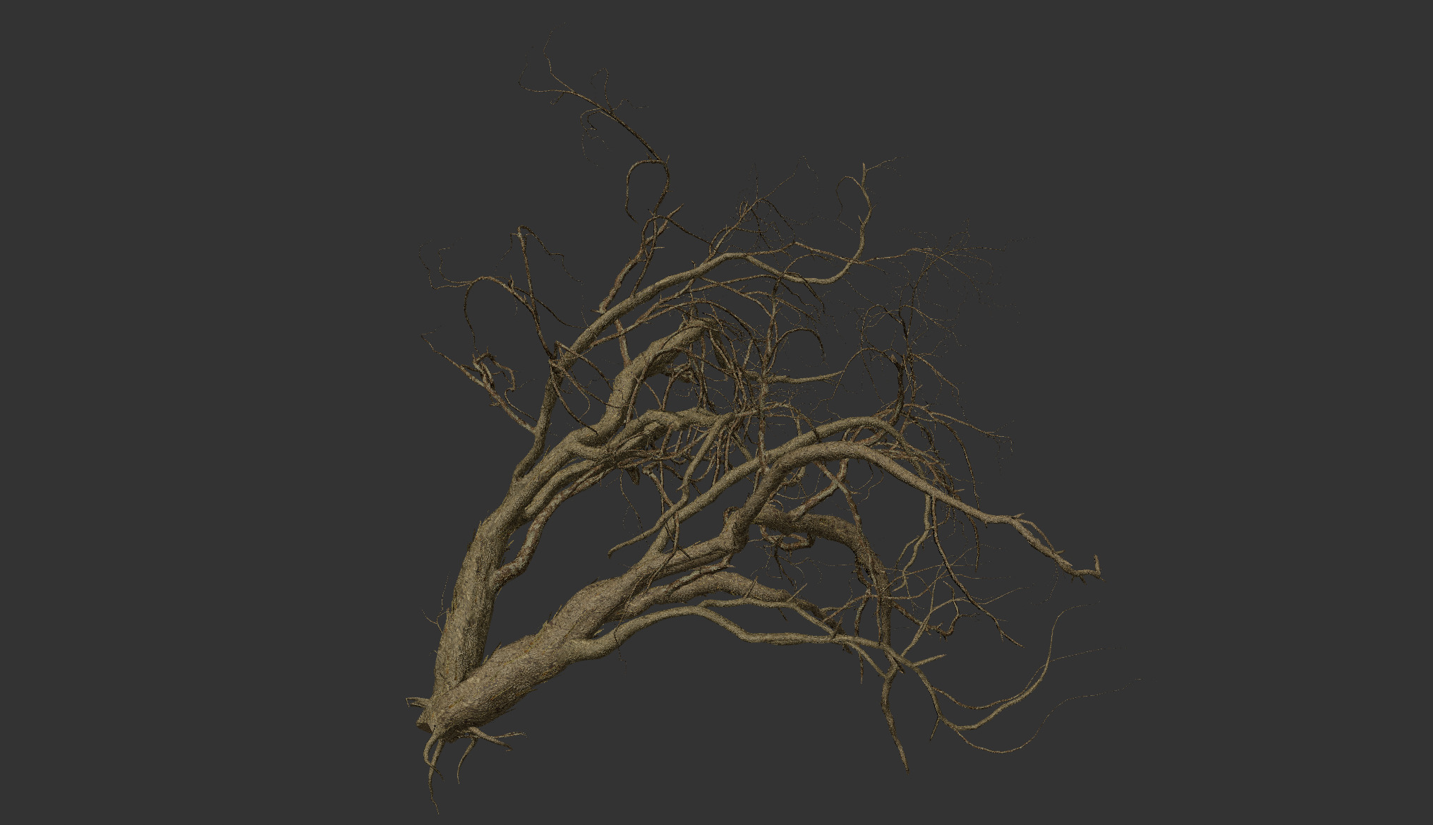 Lowpoly Dead Tree 05 3D model_2