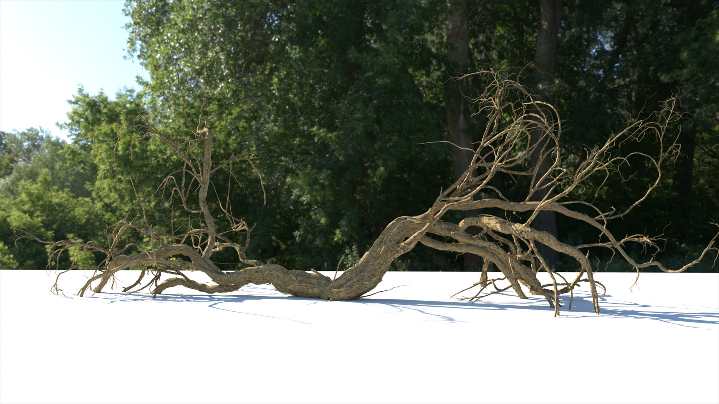 Lowpoly Dead Tree 06 3D model_1