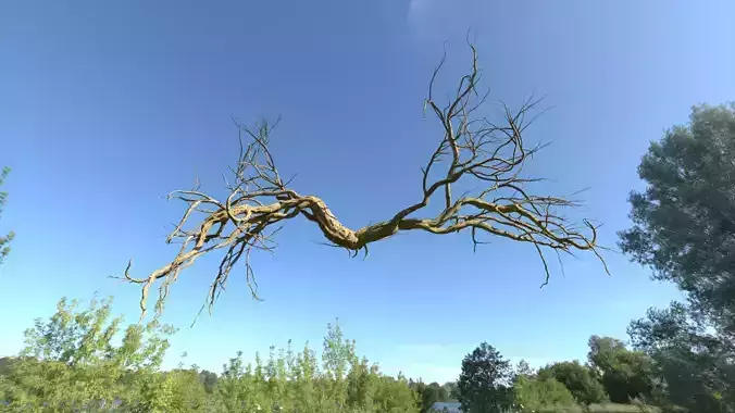 Lowpoly Dead Tree 06 3D model