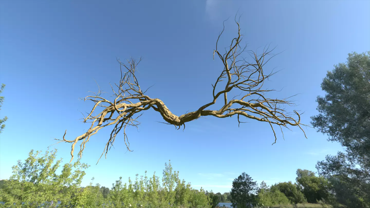 Lowpoly Dead Tree 06 3D model_0